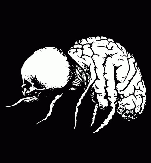 Noth : Fucking Paranoia​.​.​. I Am Losing the Reality Notion